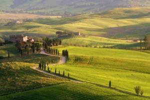 里昂在法甲联赛中的排名与表现分析法甲联赛里昂排名多少